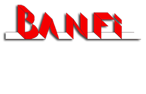 logo-banfi-srl-footer